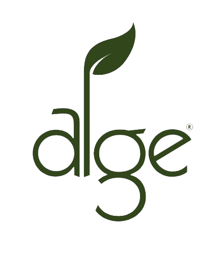 Alge